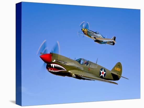 A P-40E Warhawk and a P-51D Mustang Kimberly Kaye in Flight-Stocktrek Images-Stretched Canvas