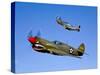 A P-40E Warhawk and a P-51D Mustang Kimberly Kaye in Flight-Stocktrek Images-Stretched Canvas