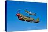 A P-40E Warhawk and a P-51D Mustang Kimberly Kaye in Flight-null-Stretched Canvas