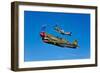 A P-40E Warhawk and a P-51D Mustang Kimberly Kaye in Flight-null-Framed Photographic Print