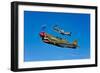 A P-40E Warhawk and a P-51D Mustang Kimberly Kaye in Flight-null-Framed Photographic Print