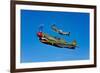 A P-40E Warhawk and a P-51D Mustang Kimberly Kaye in Flight-null-Framed Photographic Print