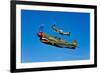 A P-40E Warhawk and a P-51D Mustang Kimberly Kaye in Flight-null-Framed Photographic Print