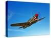 A P-40E Warhawk in Flight-Stocktrek Images-Stretched Canvas