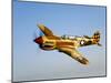 A P-40N Warhawk in Flight-Stocktrek Images-Mounted Photographic Print