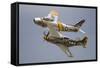 A P-51 Mustang and F-86 Sabre of the Warbird Heritage Foundation-null-Framed Stretched Canvas