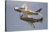 A P-51 Mustang and F-86 Sabre of the Warbird Heritage Foundation-null-Stretched Canvas