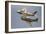 A P-51 Mustang and F-86 Sabre of the Warbird Heritage Foundation-null-Framed Photographic Print