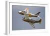 A P-51 Mustang and F-86 Sabre of the Warbird Heritage Foundation-null-Framed Photographic Print