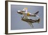 A P-51 Mustang and F-86 Sabre of the Warbird Heritage Foundation-null-Framed Photographic Print
