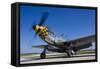 A P-51 Mustang at Waukegan, Illinois-Stocktrek Images-Framed Stretched Canvas