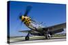 A P-51 Mustang at Waukegan, Illinois-Stocktrek Images-Stretched Canvas
