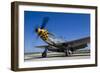 A P-51 Mustang at Waukegan, Illinois-Stocktrek Images-Framed Photographic Print