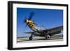 A P-51 Mustang at Waukegan, Illinois-Stocktrek Images-Framed Photographic Print