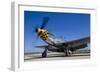 A P-51 Mustang at Waukegan, Illinois-Stocktrek Images-Framed Photographic Print