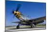 A P-51 Mustang at Waukegan, Illinois-Stocktrek Images-Mounted Photographic Print