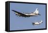 A P-51 Mustang Flies Alongside a B-17 Flying Fortress-Stocktrek Images-Framed Stretched Canvas