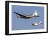 A P-51 Mustang Flies Alongside a B-17 Flying Fortress-Stocktrek Images-Framed Photographic Print