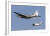 A P-51 Mustang Flies Alongside a B-17 Flying Fortress-Stocktrek Images-Framed Photographic Print