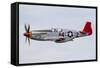 A P-51 Mustang Flies by at Eaa Airventure, Oshkosh, Wisconsin-Stocktrek Images-Framed Stretched Canvas