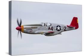 A P-51 Mustang Flies by at Eaa Airventure, Oshkosh, Wisconsin-Stocktrek Images-Stretched Canvas
