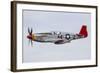 A P-51 Mustang Flies by at Eaa Airventure, Oshkosh, Wisconsin-Stocktrek Images-Framed Photographic Print