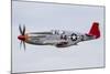 A P-51 Mustang Flies by at Eaa Airventure, Oshkosh, Wisconsin-Stocktrek Images-Mounted Photographic Print