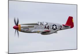 A P-51 Mustang Flies by at Eaa Airventure, Oshkosh, Wisconsin-Stocktrek Images-Mounted Photographic Print