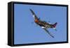 A P-51 Mustang Flies by at Stead Field, Nevada-Stocktrek Images-Framed Stretched Canvas