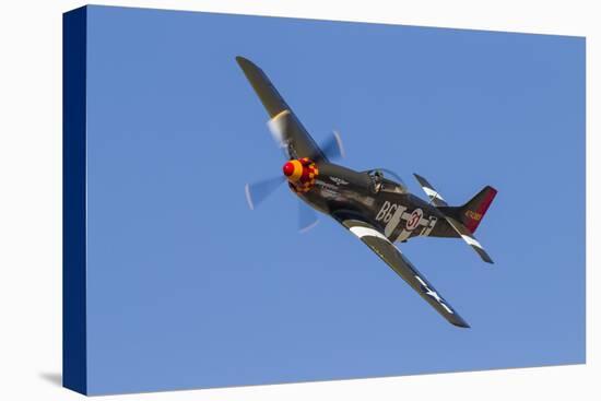 A P-51 Mustang Flies by at Stead Field, Nevada-Stocktrek Images-Stretched Canvas