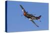 A P-51 Mustang Flies by at Stead Field, Nevada-Stocktrek Images-Stretched Canvas