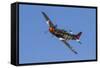 A P-51 Mustang Flies by at Stead Field, Nevada-Stocktrek Images-Framed Stretched Canvas