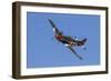 A P-51 Mustang Flies by at Stead Field, Nevada-Stocktrek Images-Framed Photographic Print