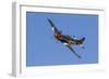 A P-51 Mustang Flies by at Stead Field, Nevada-Stocktrek Images-Framed Photographic Print