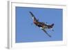 A P-51 Mustang Flies by at Stead Field, Nevada-Stocktrek Images-Framed Photographic Print