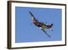 A P-51 Mustang Flies by at Stead Field, Nevada-Stocktrek Images-Framed Photographic Print