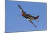 A P-51 Mustang Flies by at Stead Field, Nevada-Stocktrek Images-Mounted Photographic Print