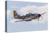 A P-51 Mustang Flies by at Vacaville, California-Stocktrek Images-Stretched Canvas