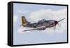 A P-51 Mustang Flies by at Vacaville, California-Stocktrek Images-Framed Stretched Canvas