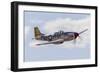 A P-51 Mustang Flies by at Vacaville, California-Stocktrek Images-Framed Photographic Print
