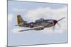 A P-51 Mustang Flies by at Vacaville, California-Stocktrek Images-Mounted Photographic Print