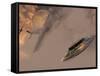 A P-51 Mustang Gives Chases To a Mysterious UFO-Stocktrek Images-Framed Stretched Canvas