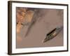 A P-51 Mustang Gives Chases To a Mysterious UFO-Stocktrek Images-Framed Photographic Print