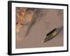 A P-51 Mustang Gives Chases To a Mysterious UFO-Stocktrek Images-Framed Photographic Print