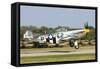 A P-51 Mustang Takes Off from Oshkosh, Wisconsin-Stocktrek Images-Framed Stretched Canvas