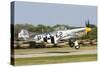 A P-51 Mustang Takes Off from Oshkosh, Wisconsin-Stocktrek Images-Stretched Canvas