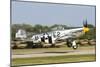 A P-51 Mustang Takes Off from Oshkosh, Wisconsin-Stocktrek Images-Mounted Photographic Print