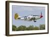 A P-51 Mustang Takes Off from Oshkosh, Wisconsin-Stocktrek Images-Framed Photographic Print