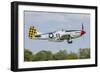 A P-51 Mustang Takes Off from Oshkosh, Wisconsin-Stocktrek Images-Framed Photographic Print