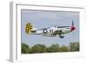 A P-51 Mustang Takes Off from Oshkosh, Wisconsin-Stocktrek Images-Framed Photographic Print